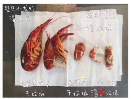 垃圾桶賣斷貨被限購 萬萬沒想到垃圾桶也有賣斷貨的時(shí)候
